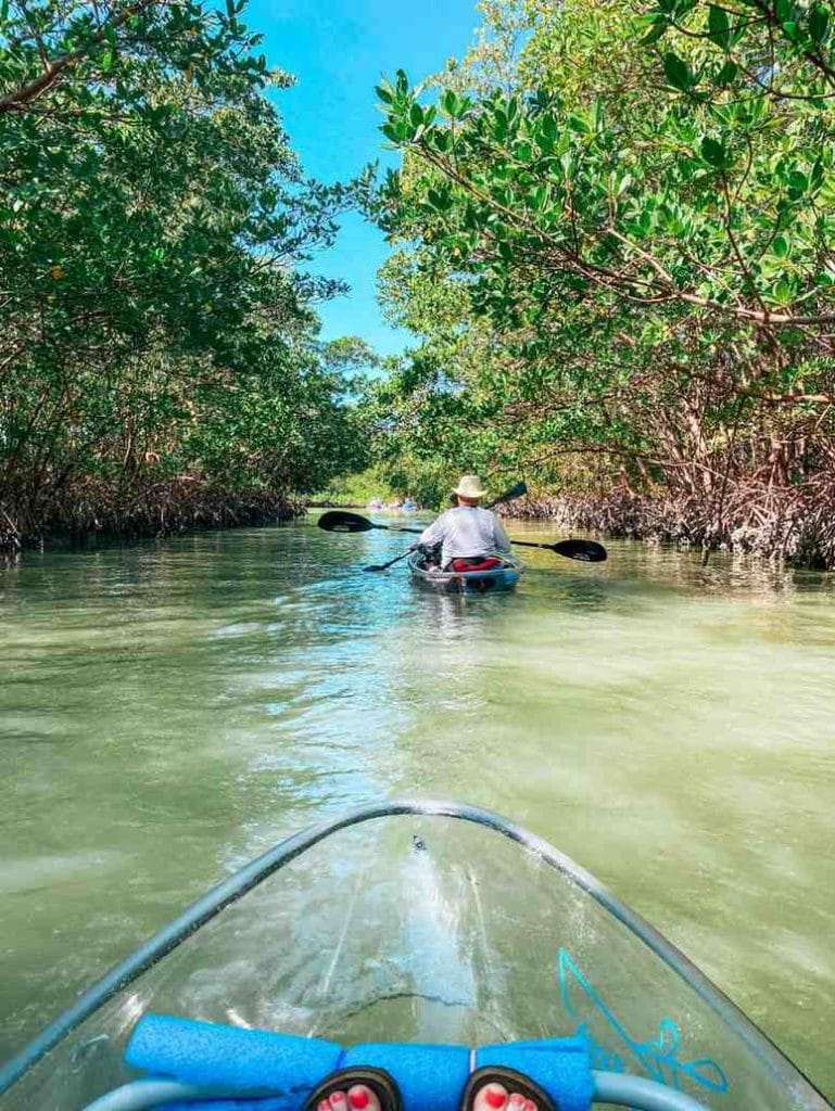 Boat safari in Sundarbans National Park mangroves