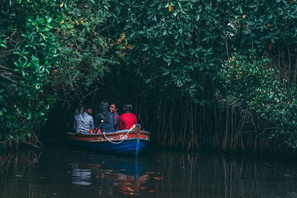 Boat safari in Sundarbans mangrove forest